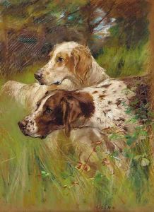 Two pointers in long grass by Thomas Blinks