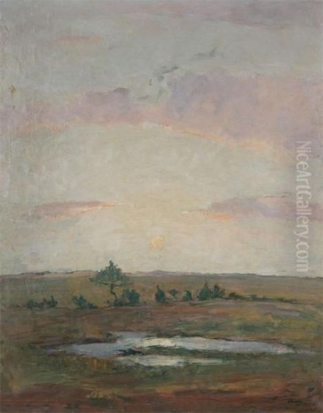 Heathland At Sunset - view 1
