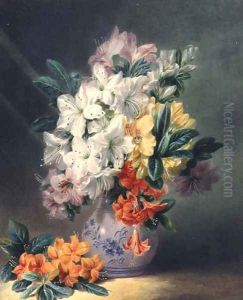 Azaleas