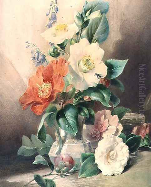 Camellias - view 1