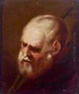 Barbuto