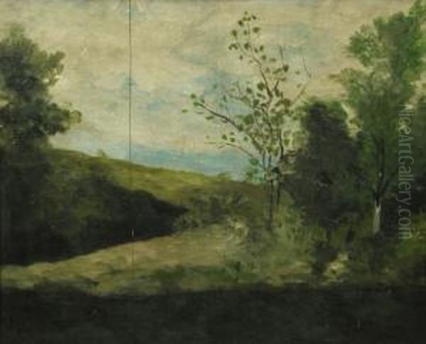 "peisaj" - view 1