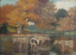 Watering The Cattle