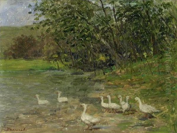 Geese - view 1