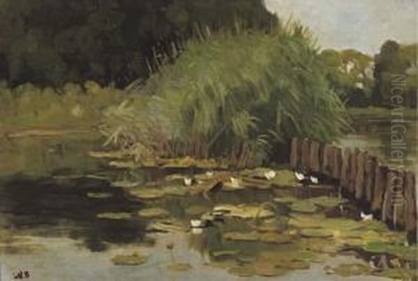 Biezen En Waterlelies: The River Vecht Near Nieuwersluis - view 1