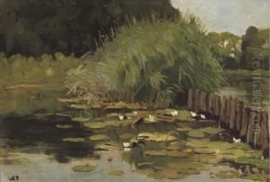 Biezen En Waterlelies: The River Vecht Near Nieuwersluis by Nicolaas Bastert