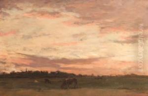 Polder Landscape At Dusk