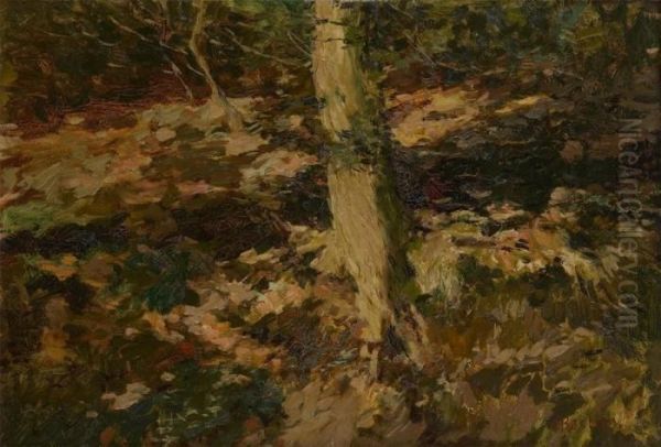 Le Tronc D'arbre - view 1