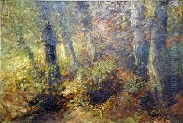 [foret En Automne.] - view 1