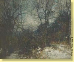 La Foret De Soignes Sous La Neige