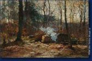 Coupe En Foret