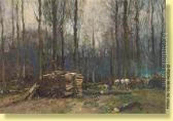 Travaux De Debardage En Foret De Soignes - view 1