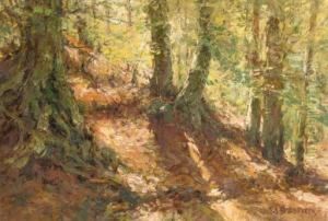 In A Sunlit Forest