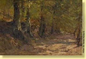 Chemin Creux Ensoleille
