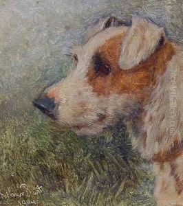 A Terrier