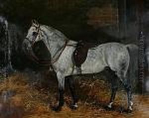 Potrait Of A Grey In A Stable by Arthur Batt