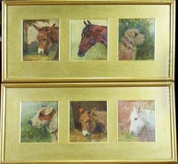 Heads Of Horses, Ponies And Dogs - view 1