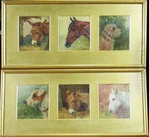Heads Of Horses, Ponies And Dogs