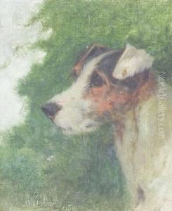 Head Of A Jack Russell