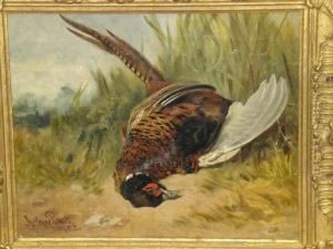 Study Of A Dead Cock Pheasant by Arthur Batt