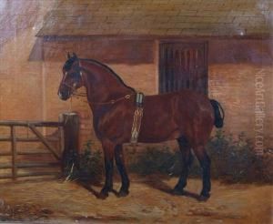 Chestnut Horse Chestnut Horse