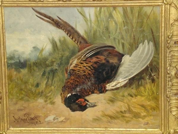 Study Of A Dead Cock Pheasant, Signed And Dated '82 - view 1