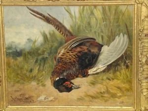 Study Of A Dead Cock Pheasant, Signed And Dated '82