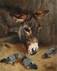Donkey With Pigeons