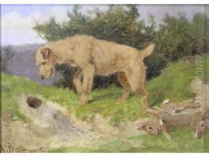Terrier At Rabbit Hole,its Kill Alongside by Arthur Batt
