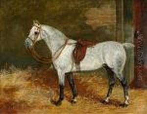Portrait Of A Horse by Arthur Batt