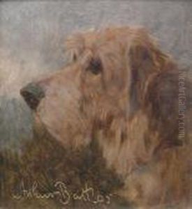 Head Study Of A Dog