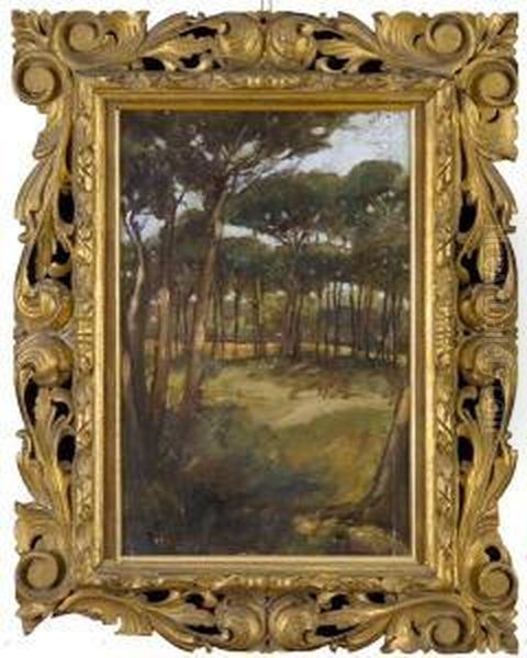 Parco - view 1