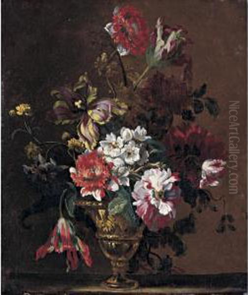 Still Life - view 1