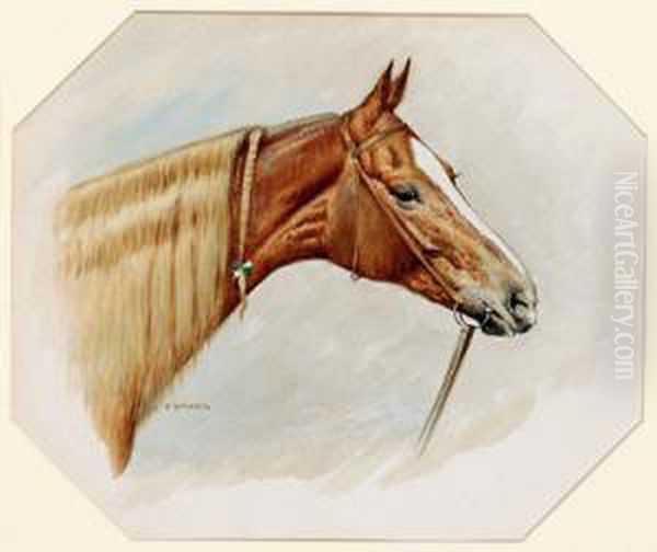 Testa Di Cavallo - view 1