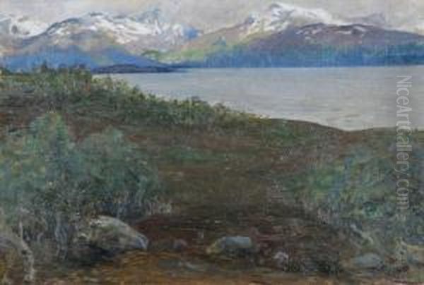 Norrlandskat Landskap - view 1