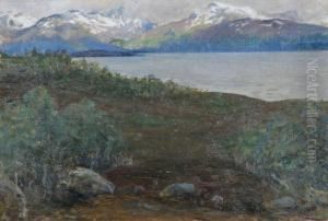 Norrlandskat Landskap