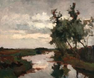 Landschap Met Boom Aan Een Sloot