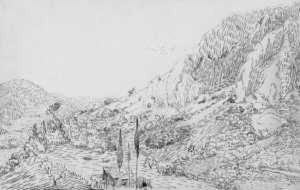 Abhang Eines Hugels Mit Baumen (toskana)