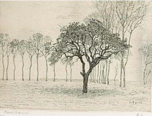 Trees In A Landscape Trees In A Landscape