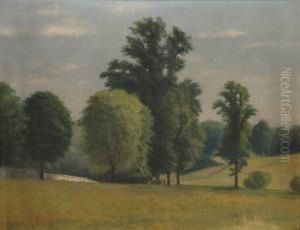 Trees On A Hillside by Peter Baumgras