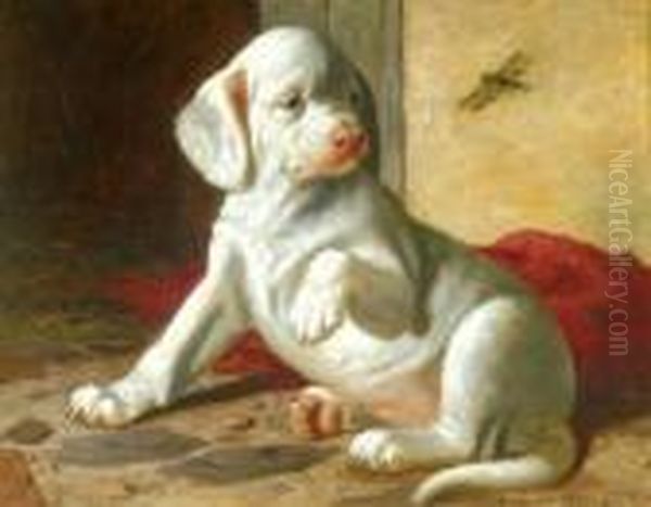 Hounded Pup - view 1