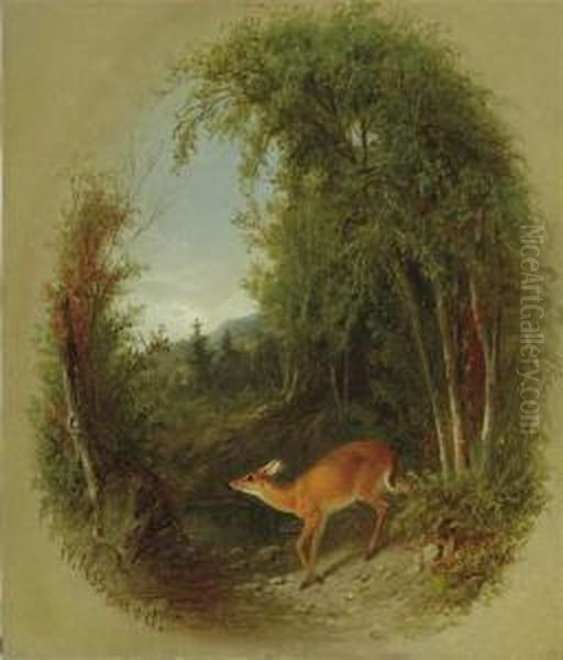 Deer In A Landscape - view 1