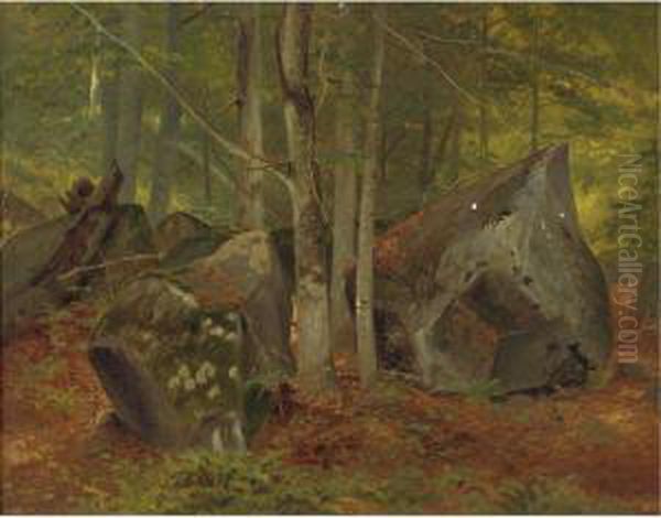 In The Woods - view 1