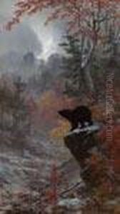 Bear In A Wooded Landscape
