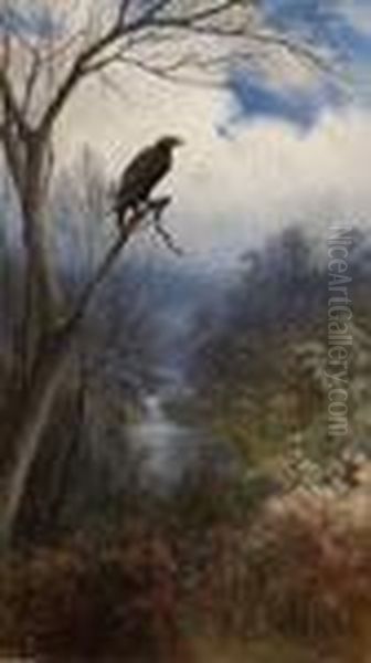 An Eagle's View - view 1