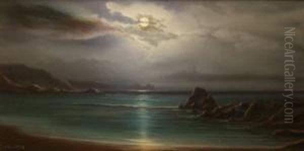 Rocky Coastal Scene By Moonlight - view 1