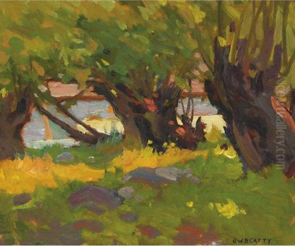 Sunlight In The Willows - view 1