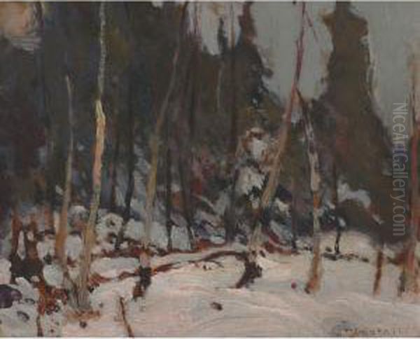 Winter Landscape - view 1
