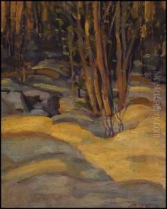Algonquin Park by John William Beatty