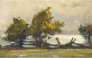 Landscape With Fence